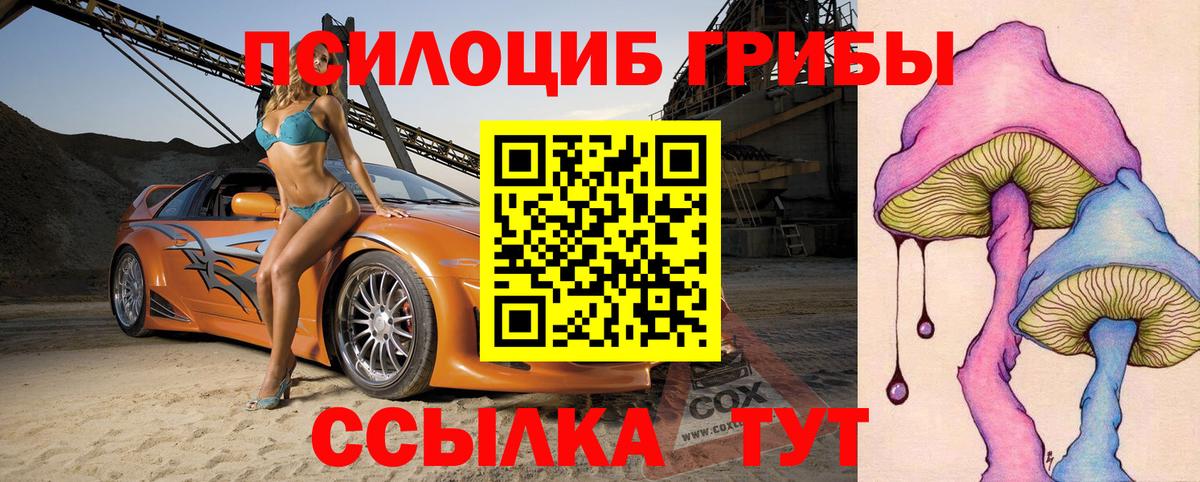 Псилоцибиновые грибы мухоморы  Вход с VPN  Псилоцибиновые грибы Magic Shrooms  Гусь-Хрустальный 