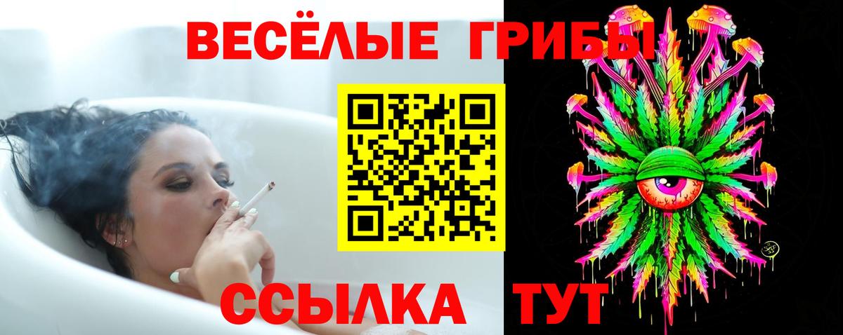 Alpha-PVP Гусь-Хрустальный